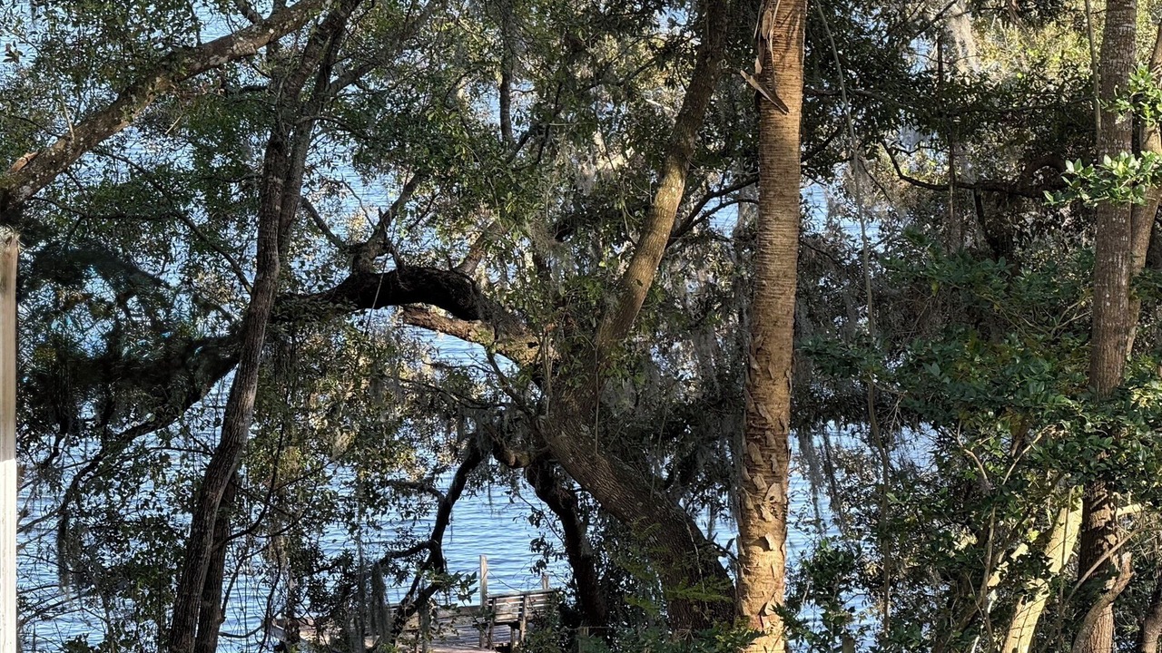 Photo of Others in Eustis
