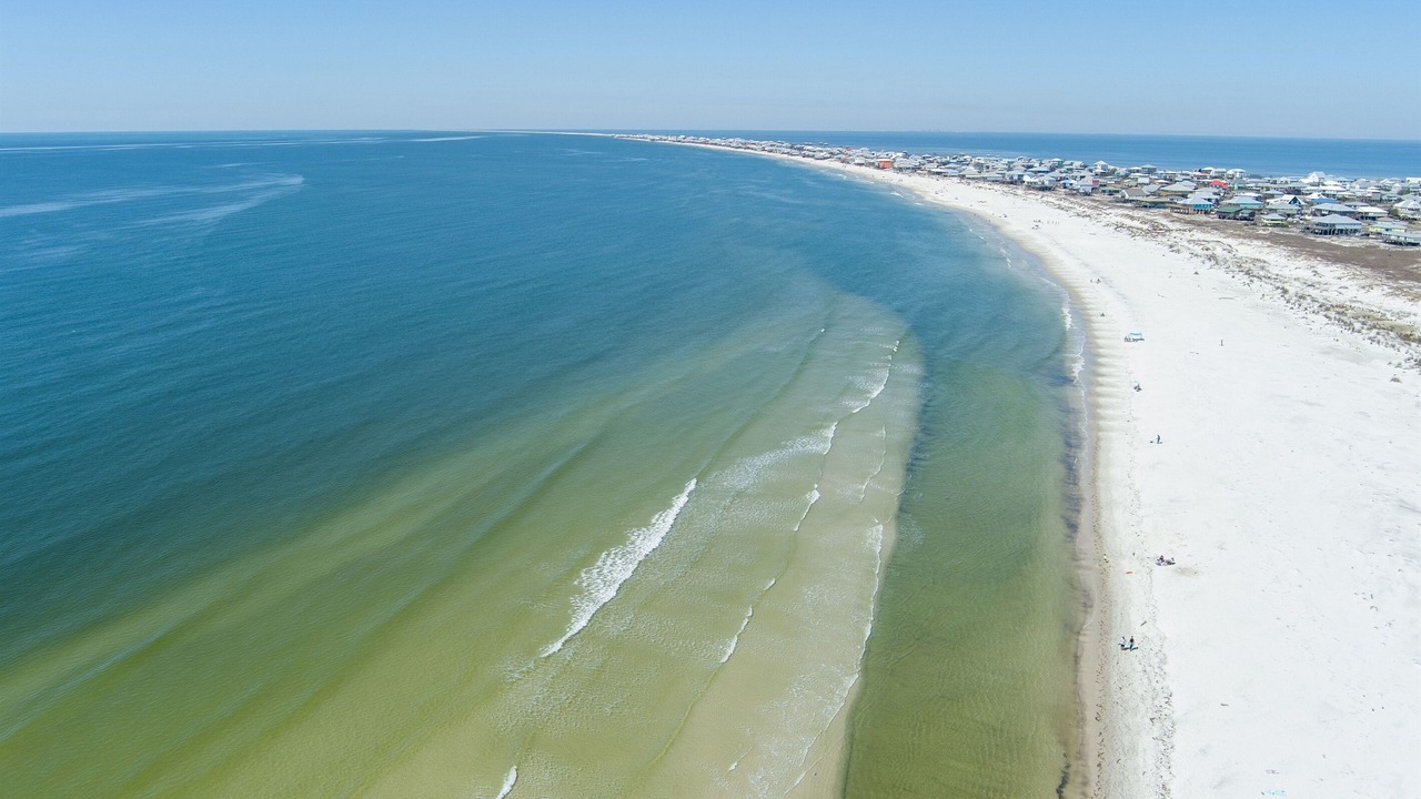 Photo of Others in Dauphin Island