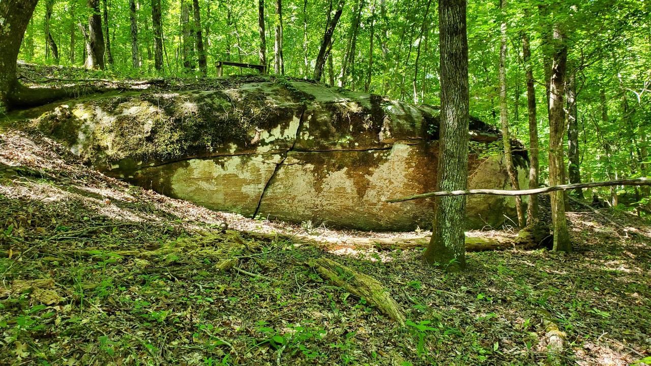 Photo of Others in Milledgeville