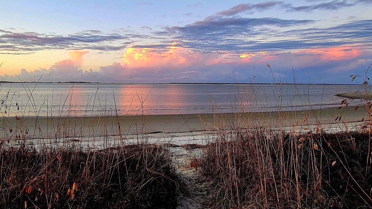 Photo of Others in Tybee Island