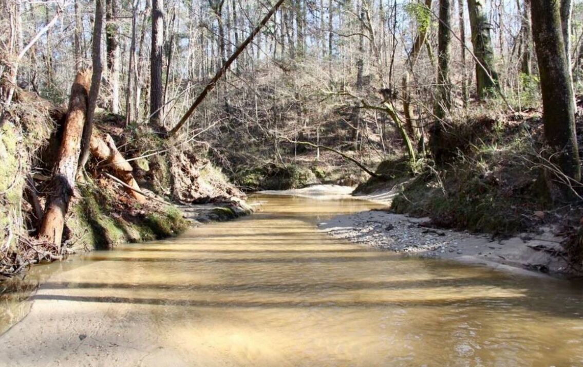 Photo of Others in Wilkinson County