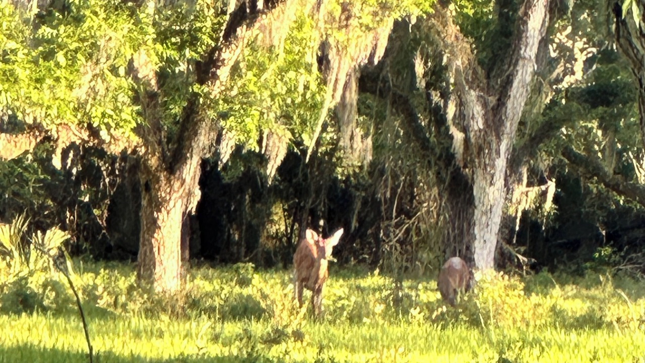 Photo of Others in Melrose