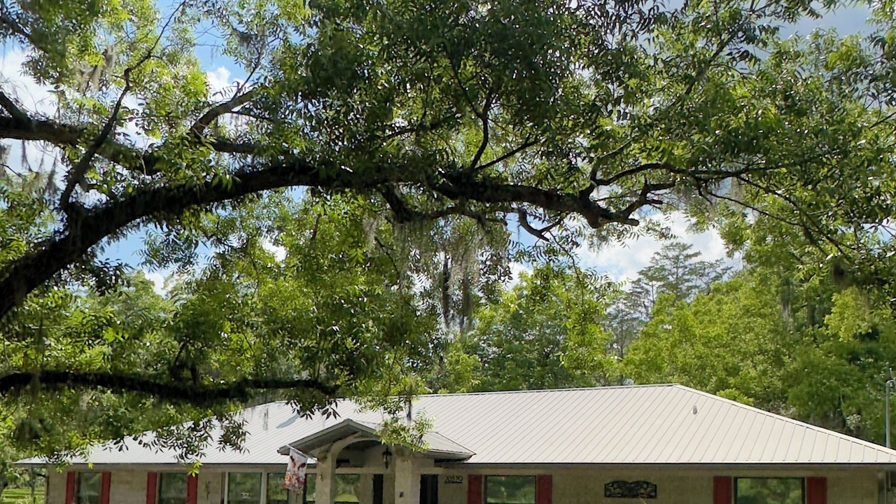Photo of Outdoor in Melrose