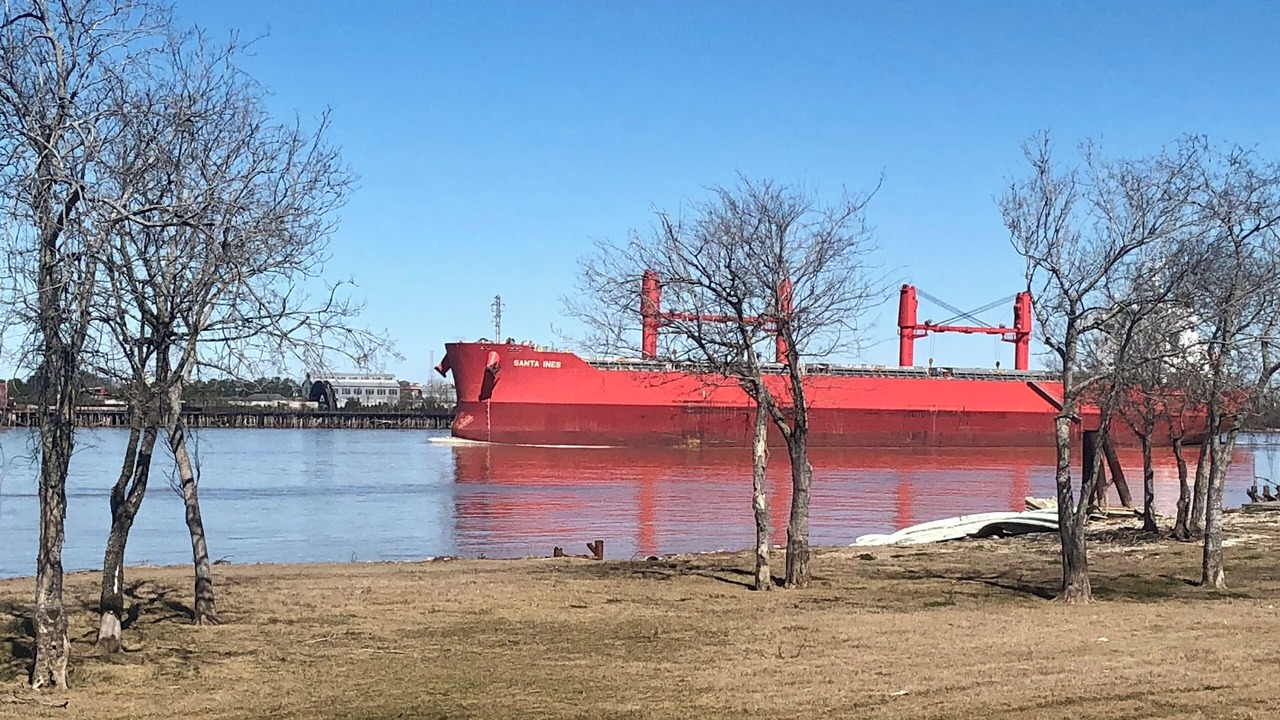 Photo of Others in Algiers Point