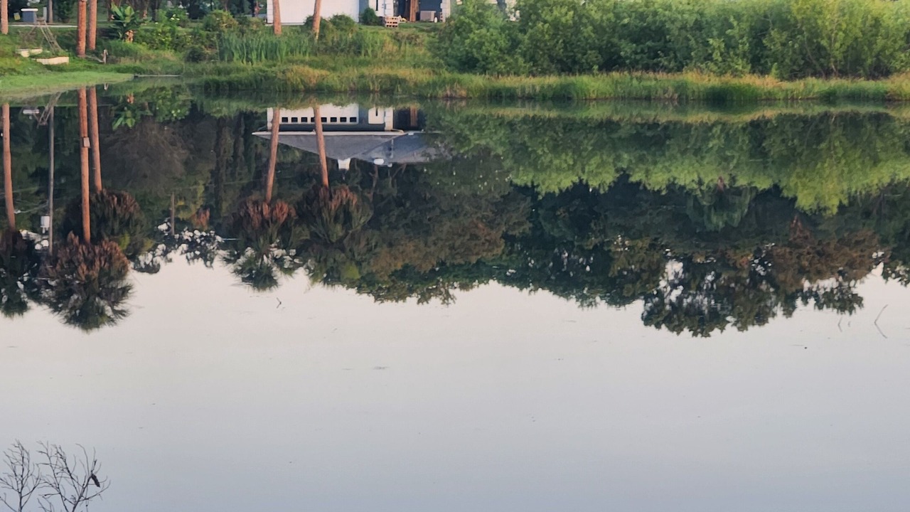 Photo of Outdoor in Mount Dora