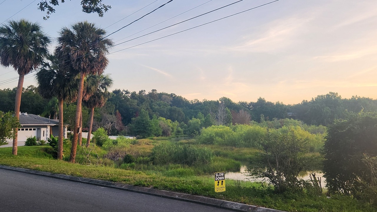 Photo of Others in Mount Dora