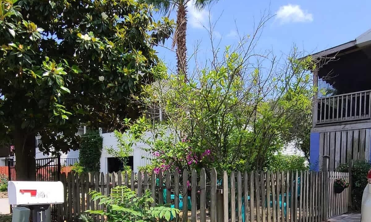 Photo of Outdoor in Tybee Island