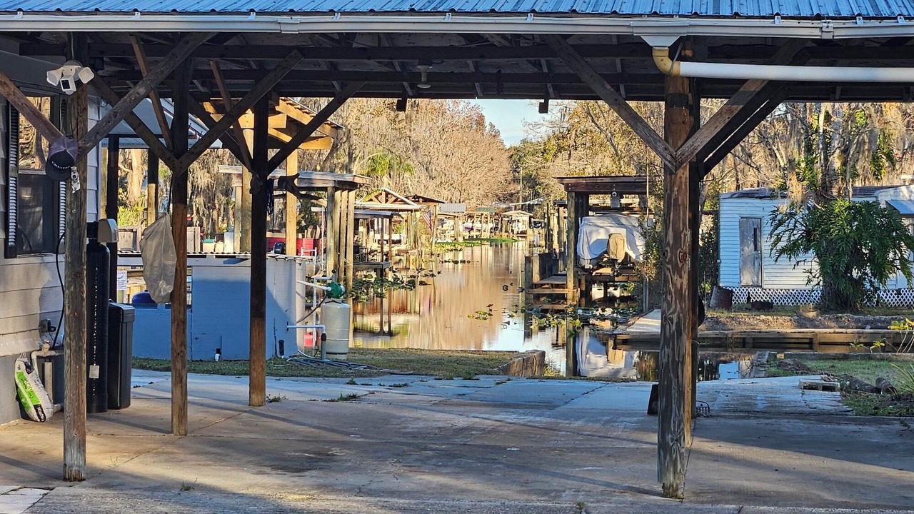 Photo of Others in Satsuma