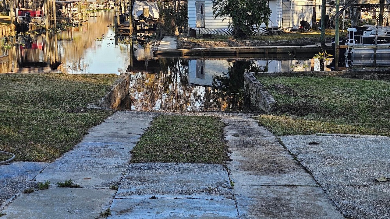 Photo of Others in Satsuma