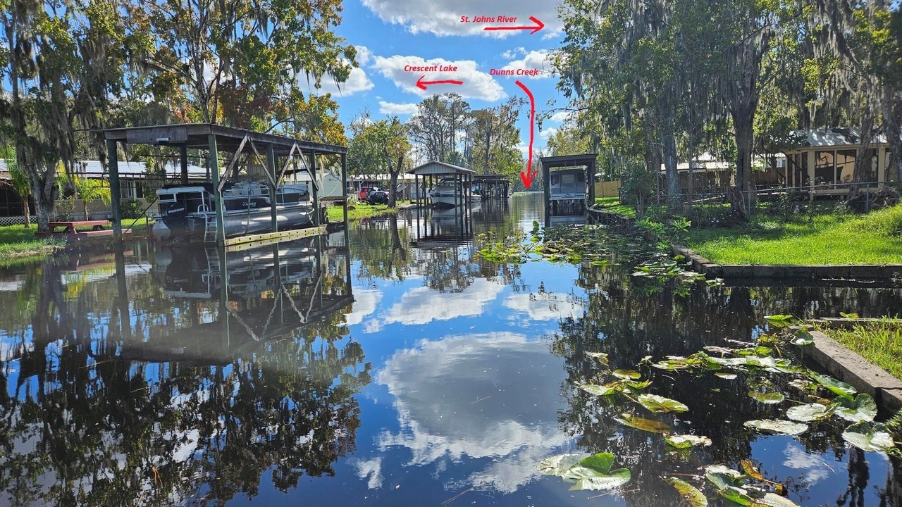 Photo of Others in Satsuma