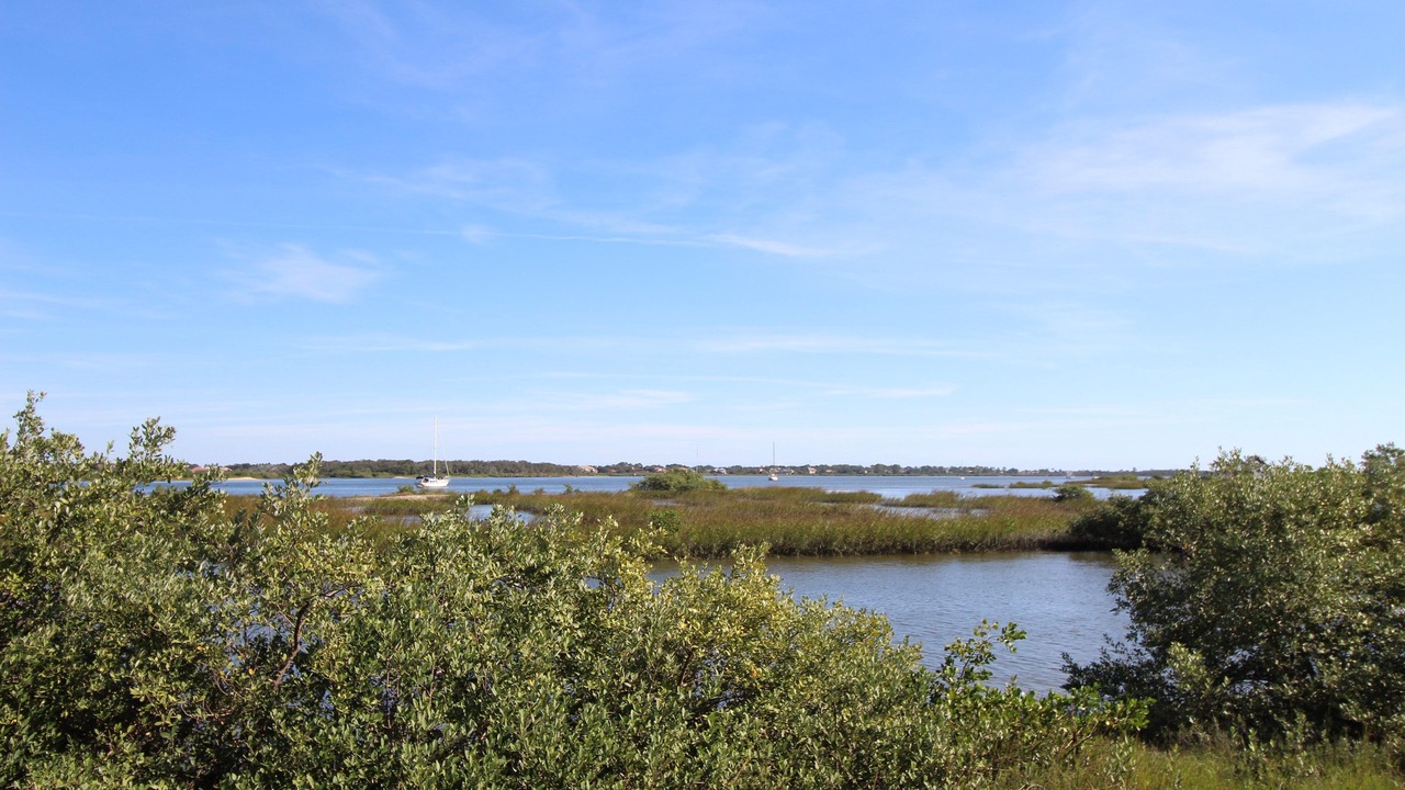 Photo of Others in St. Augustine South