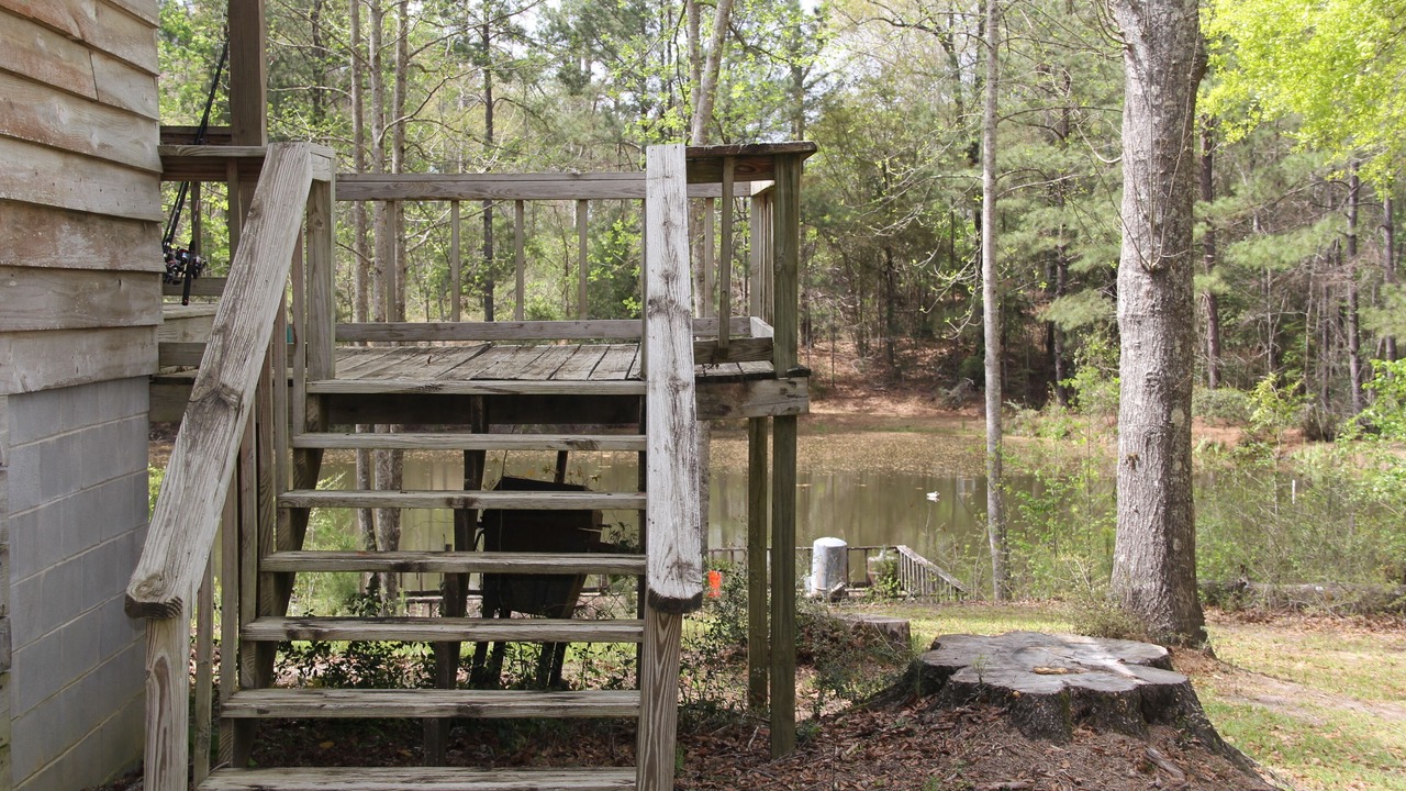 Photo of Outdoor in Jack