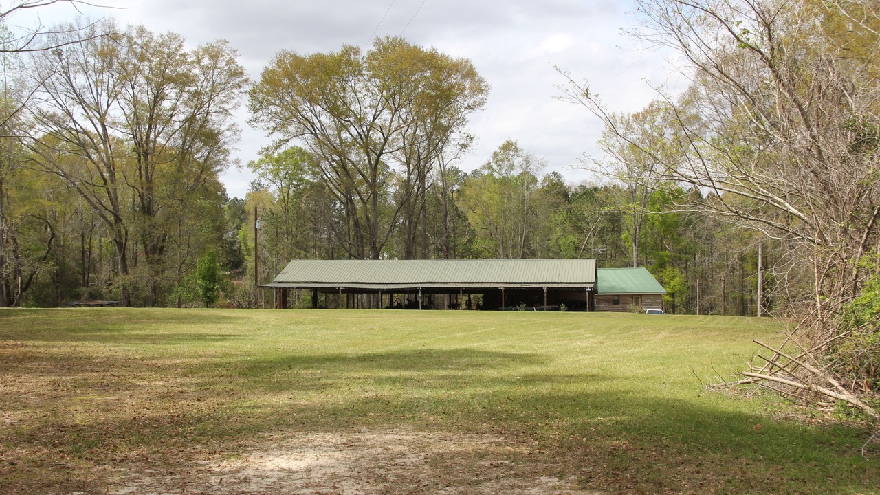 Photo of Outdoor in Jack