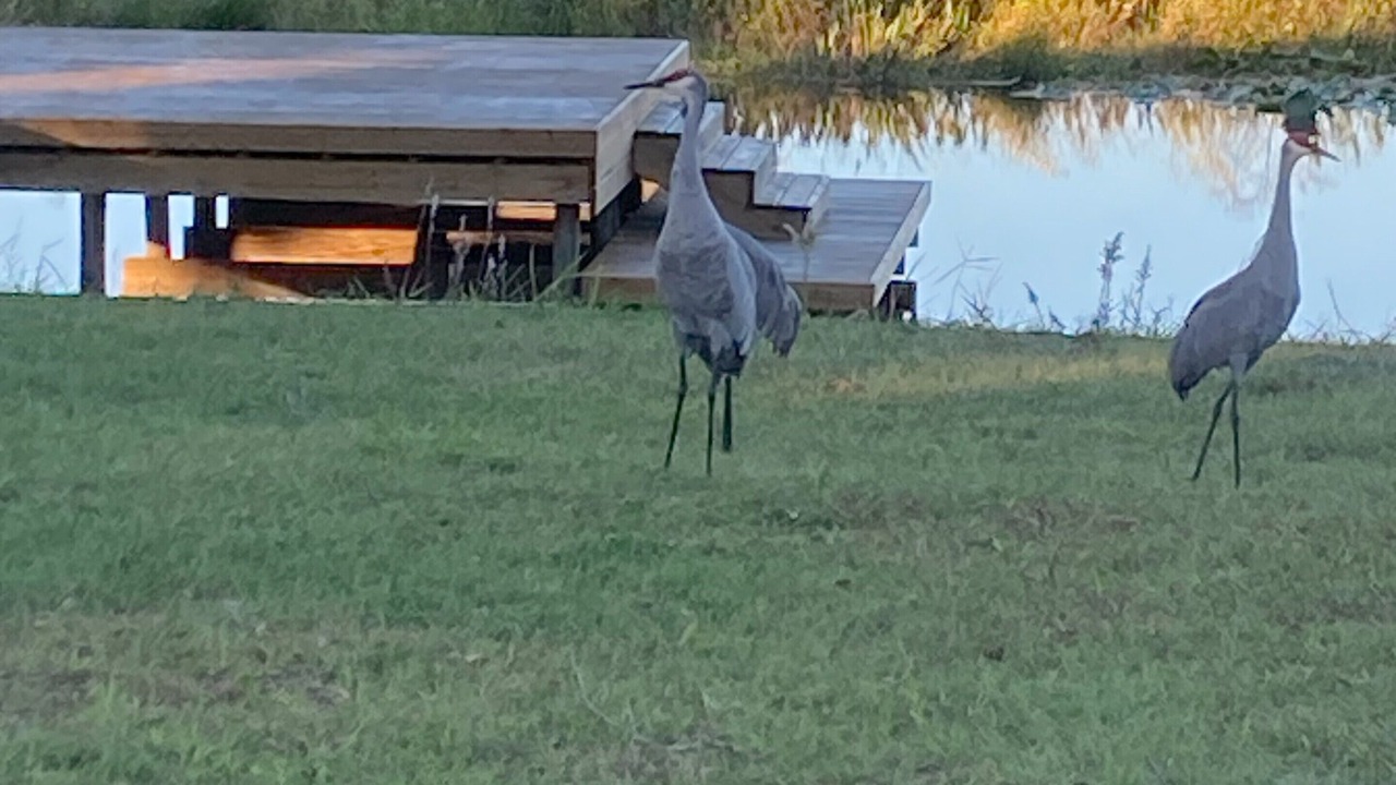Photo of Others in Interlachen