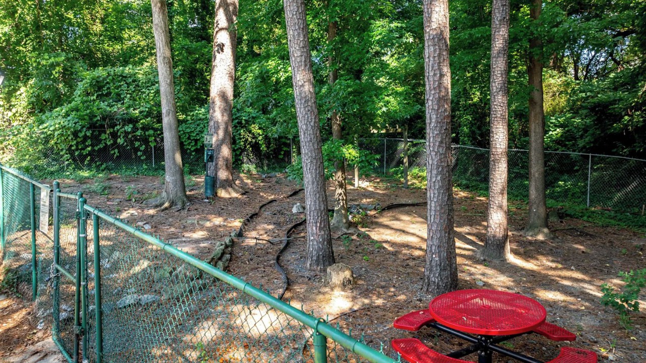 Photo of Outdoor in Piedmont Heights