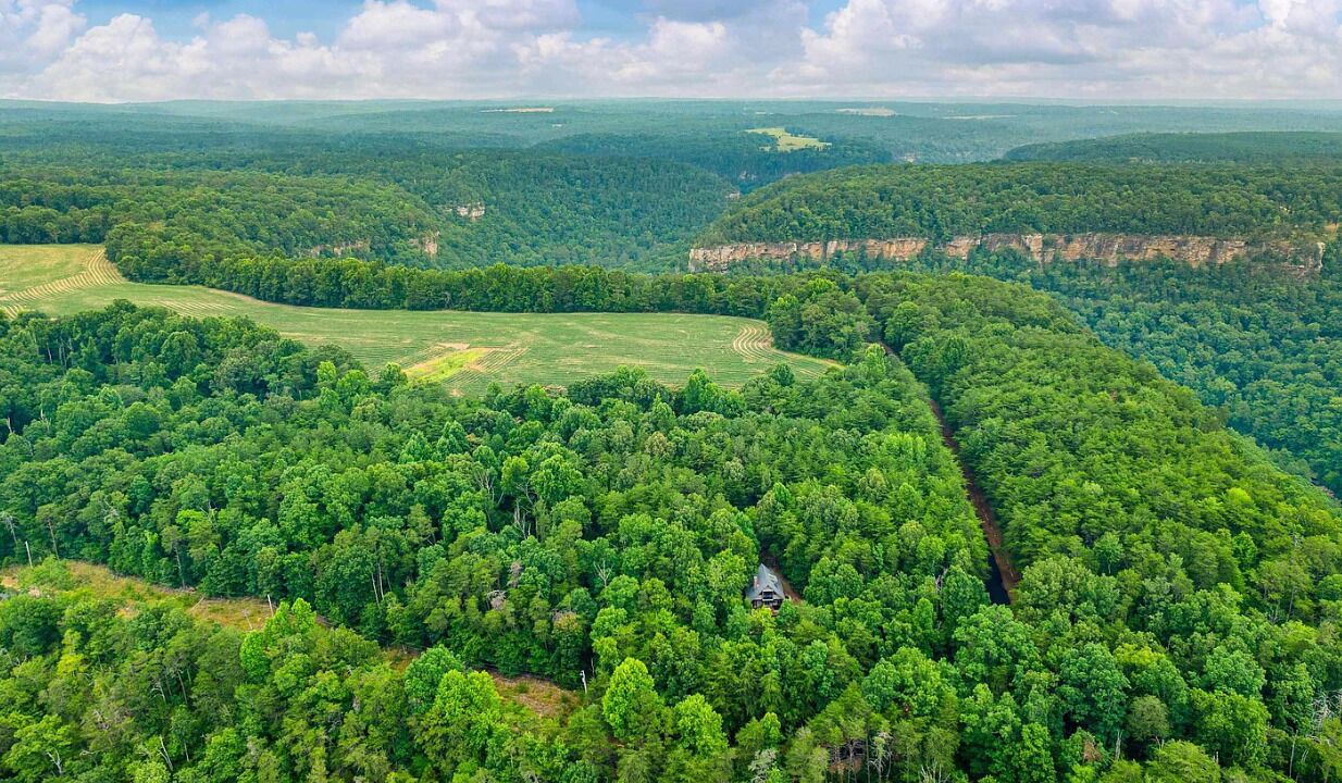 Photo of Outdoor in Cedar Bluff