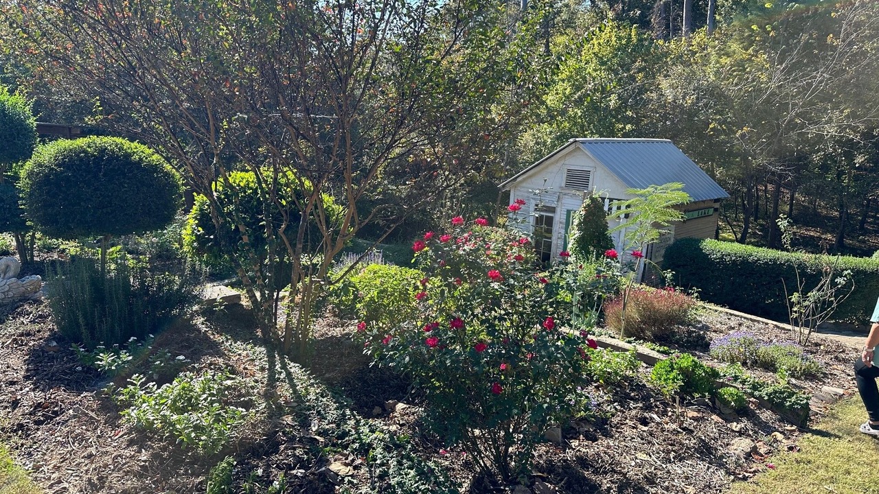 Photo of Outdoor in Ore City