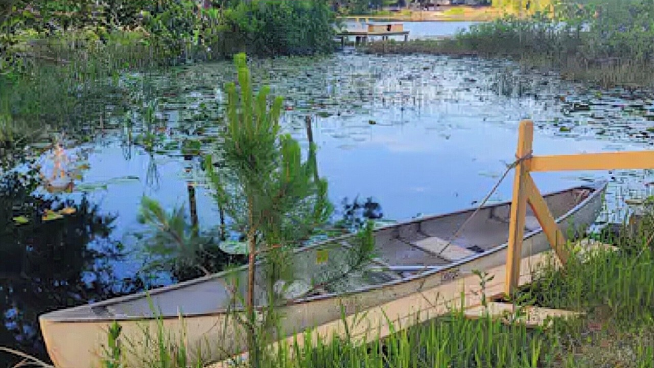 Photo of Outdoor in Interlachen