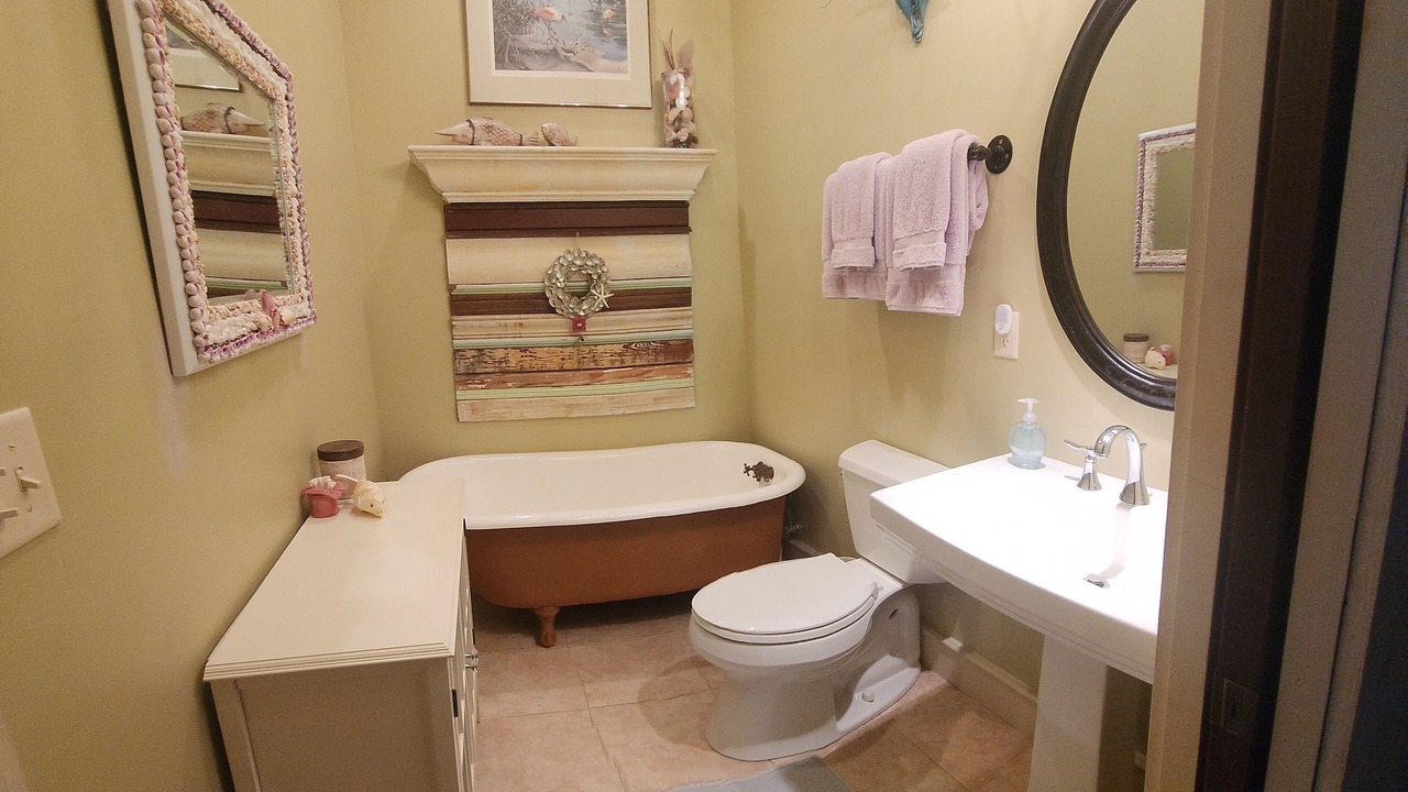 Photo of Bathroom in Interlachen