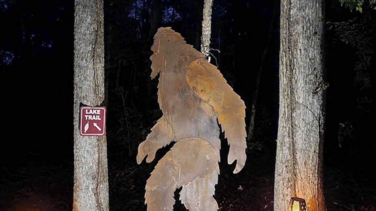 Photo of Outdoor in Jacksons' Gap