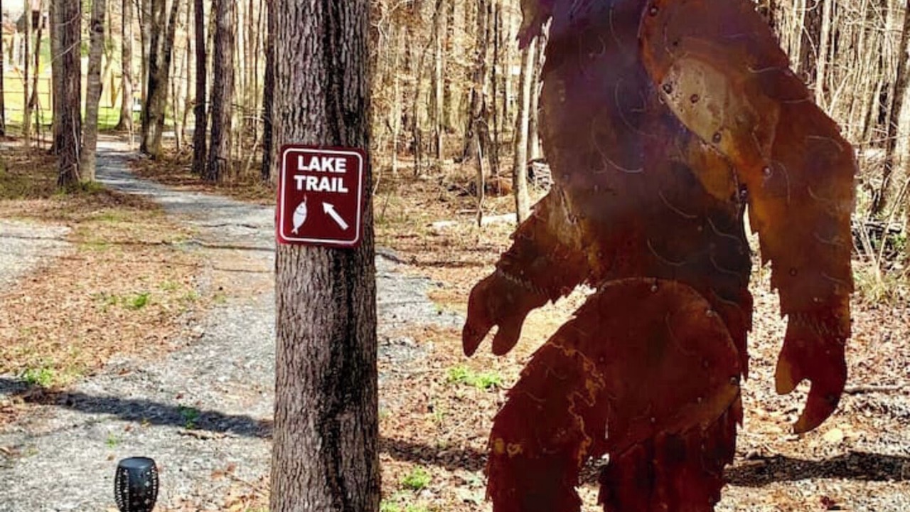 Photo of Others in Jacksons' Gap