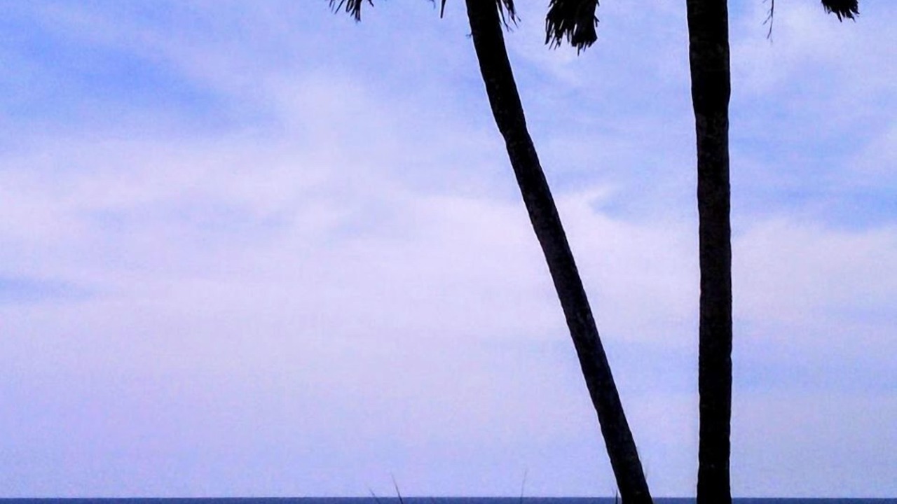 Photo of Others in Kiska Beach