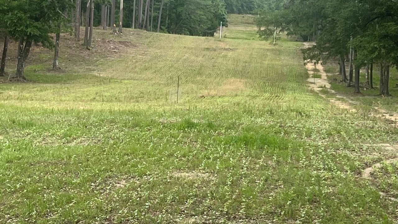 Photo of Others in Bay Minette