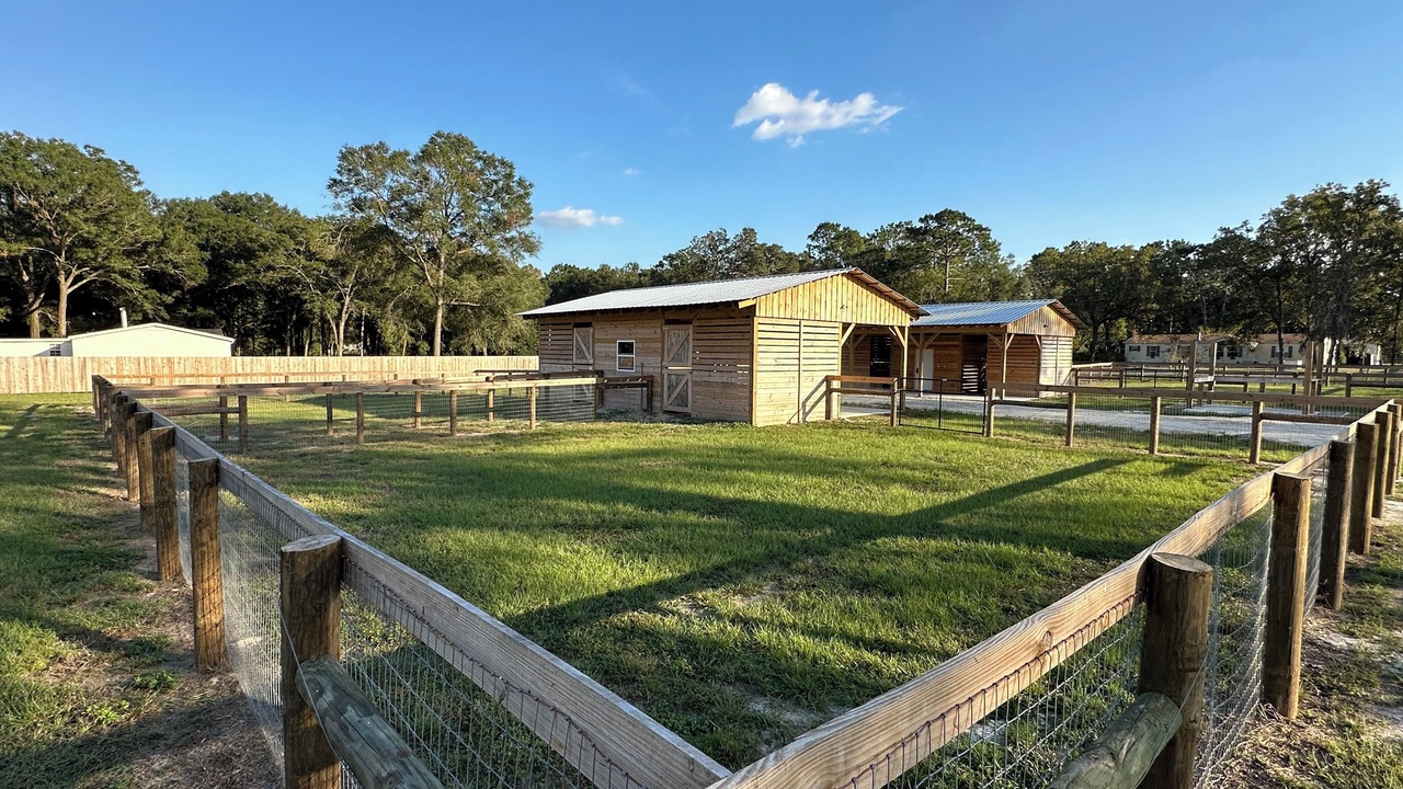 Photo of Outdoor in Ocala