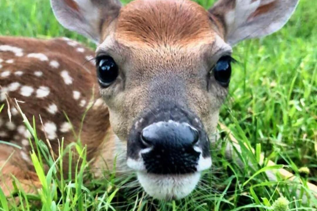 Photo of Others in Jackson
