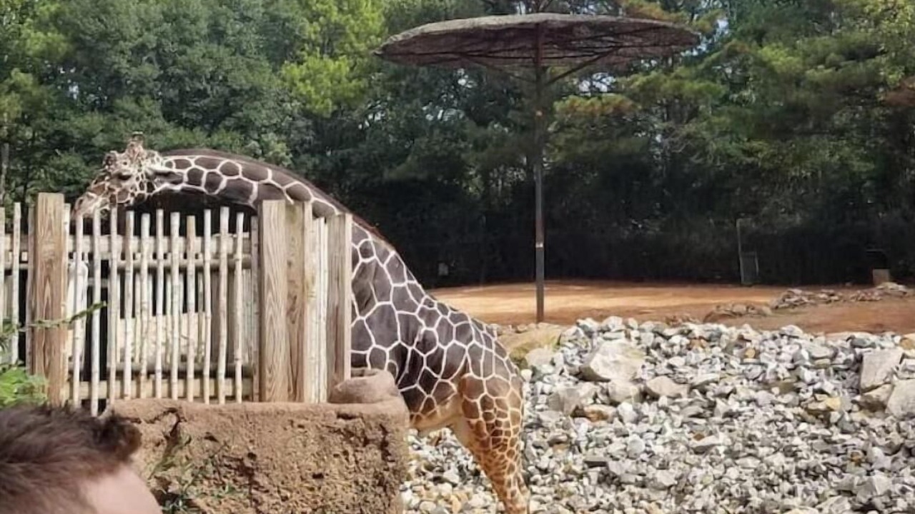 Photo of Others in East Atlanta