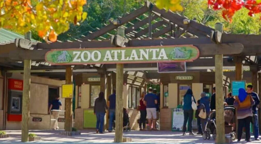 Photo of Others in East Atlanta