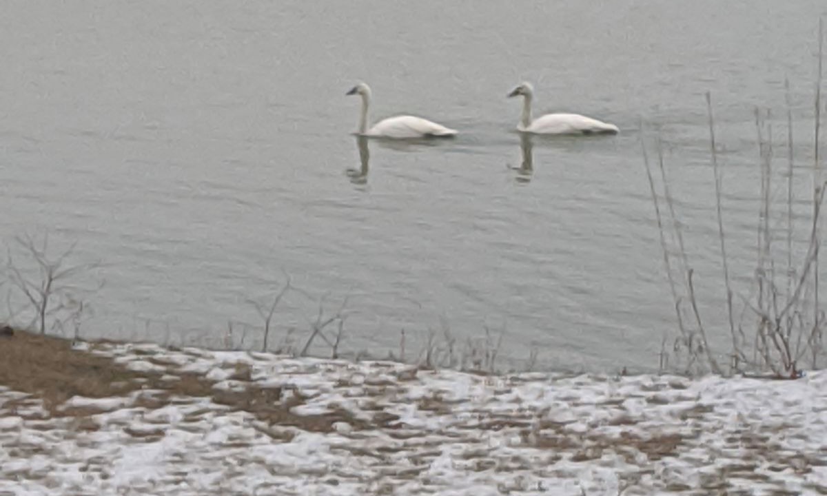 Photo of Others in Herron