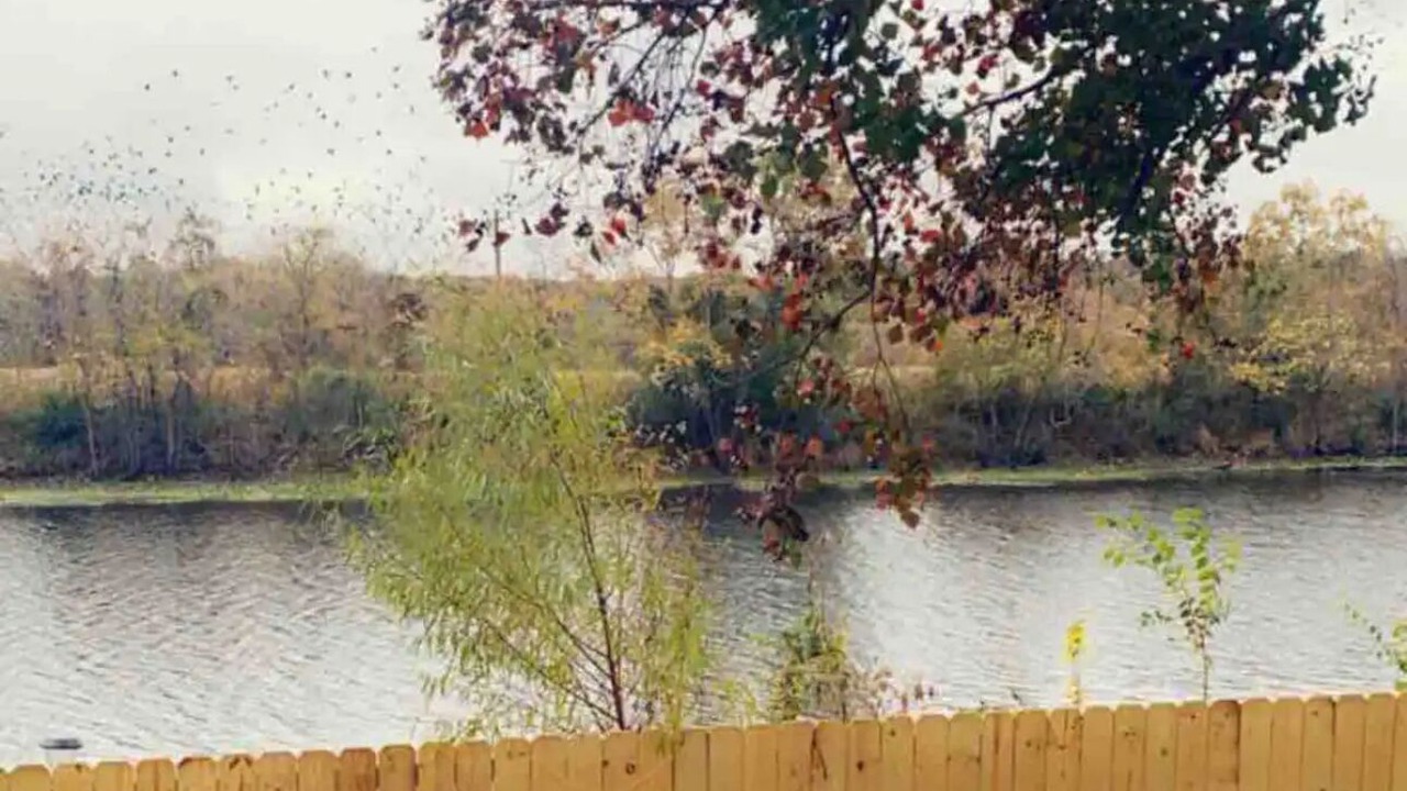 Photo of Others in Monroe