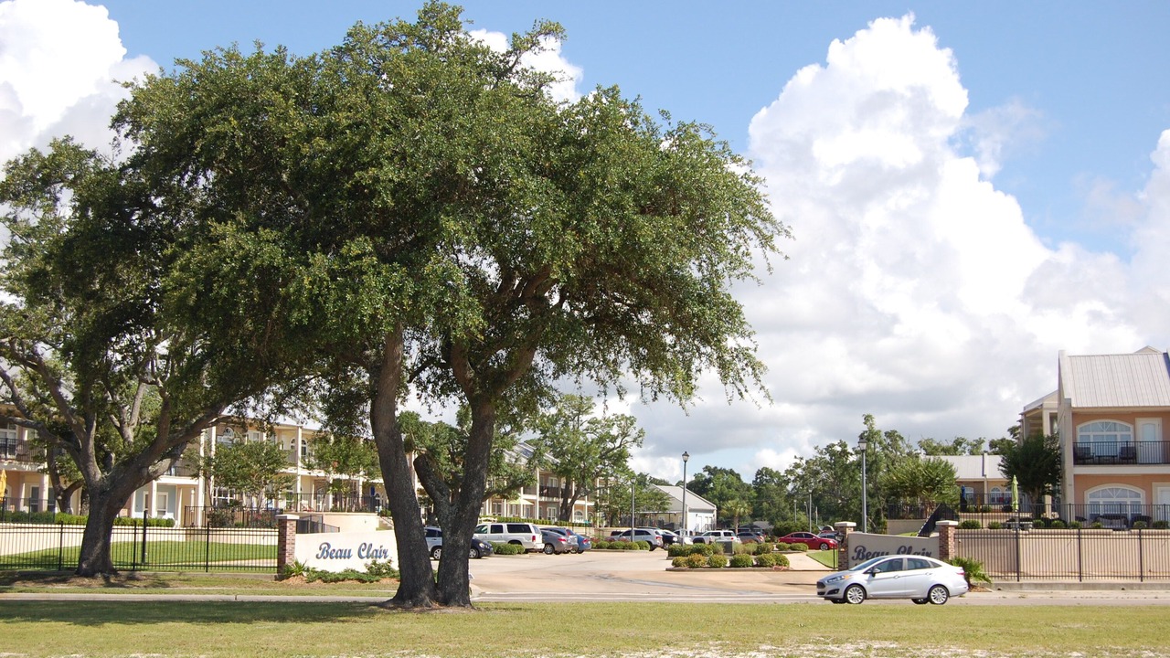 Photo of Outdoor in Biloxi