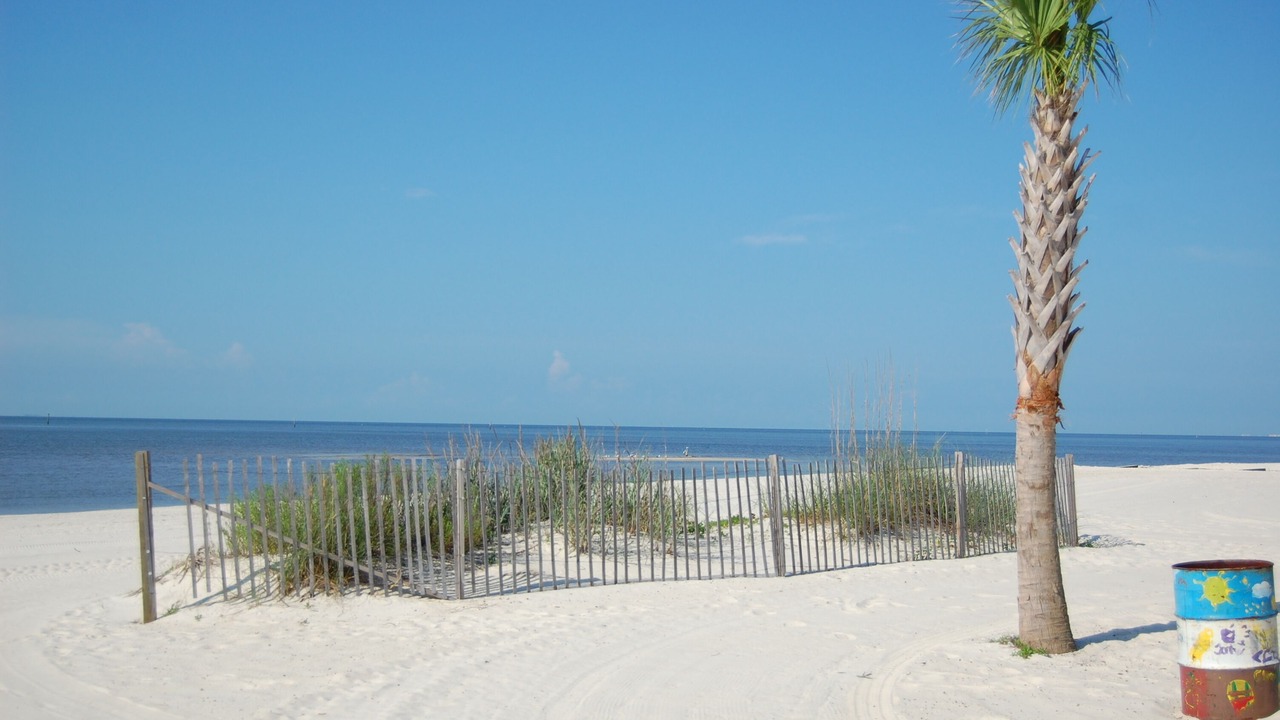 Photo of Others in Biloxi