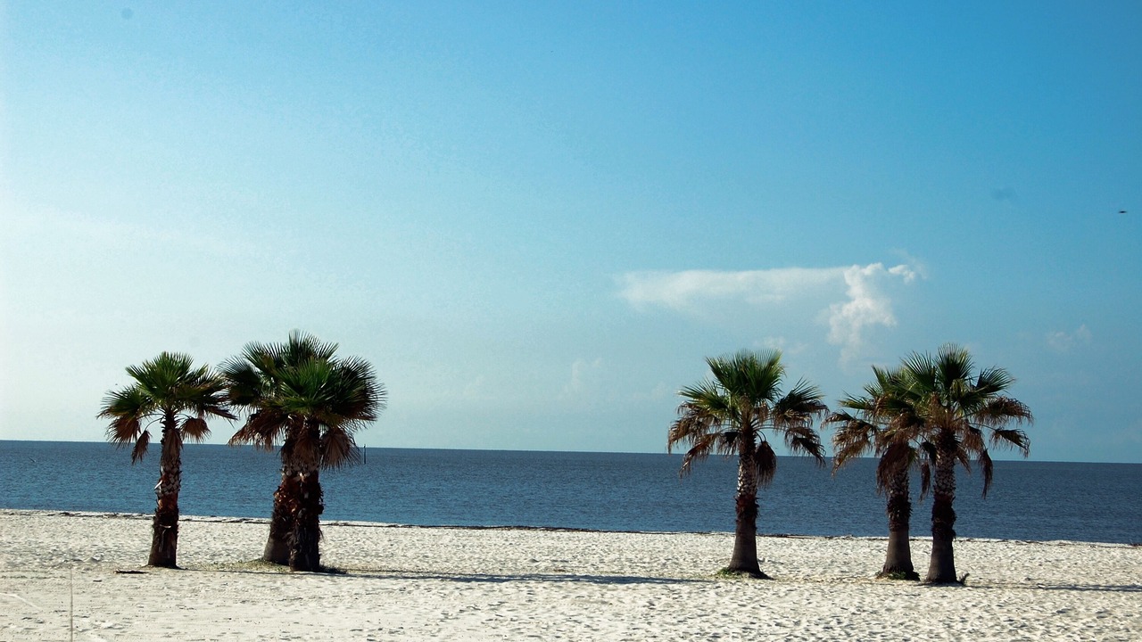 Photo of Others in Biloxi
