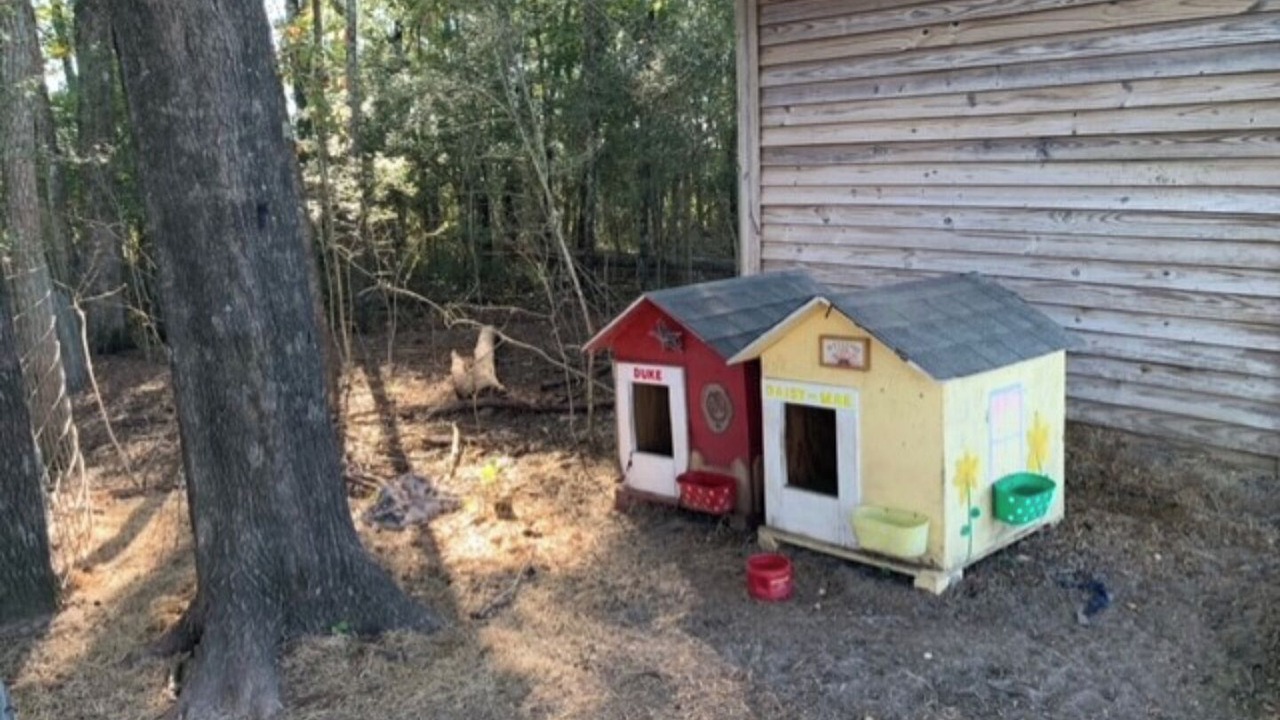 Photo of Outdoor in Brantley