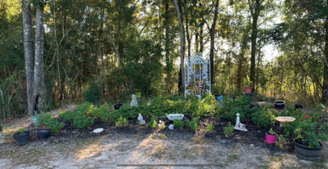 Photo of Outdoor in Brantley