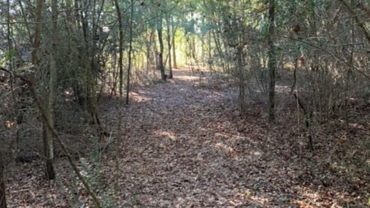 Photo of Others in Brantley