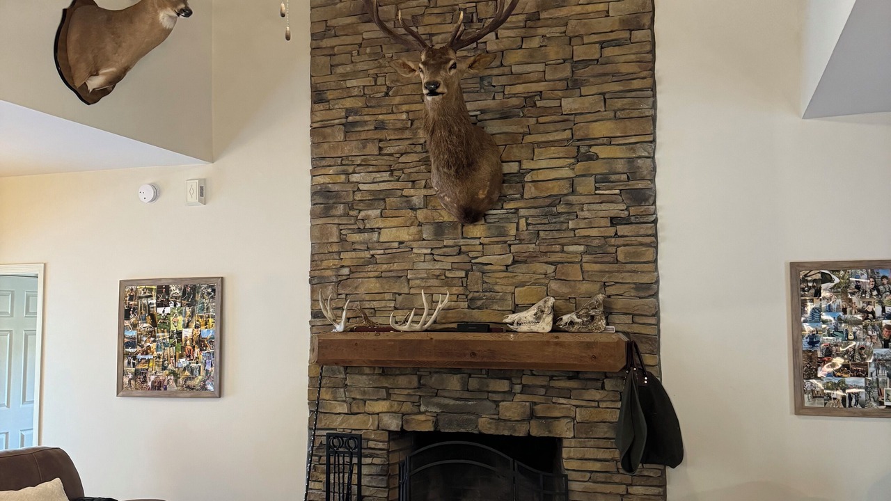 Photo of Livingroom in Letohatchee