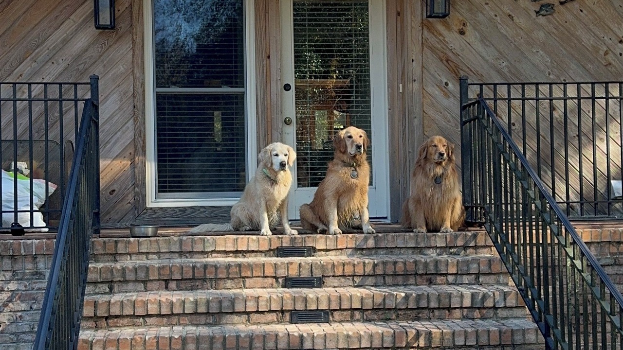 Photo of Outdoor in Letohatchee