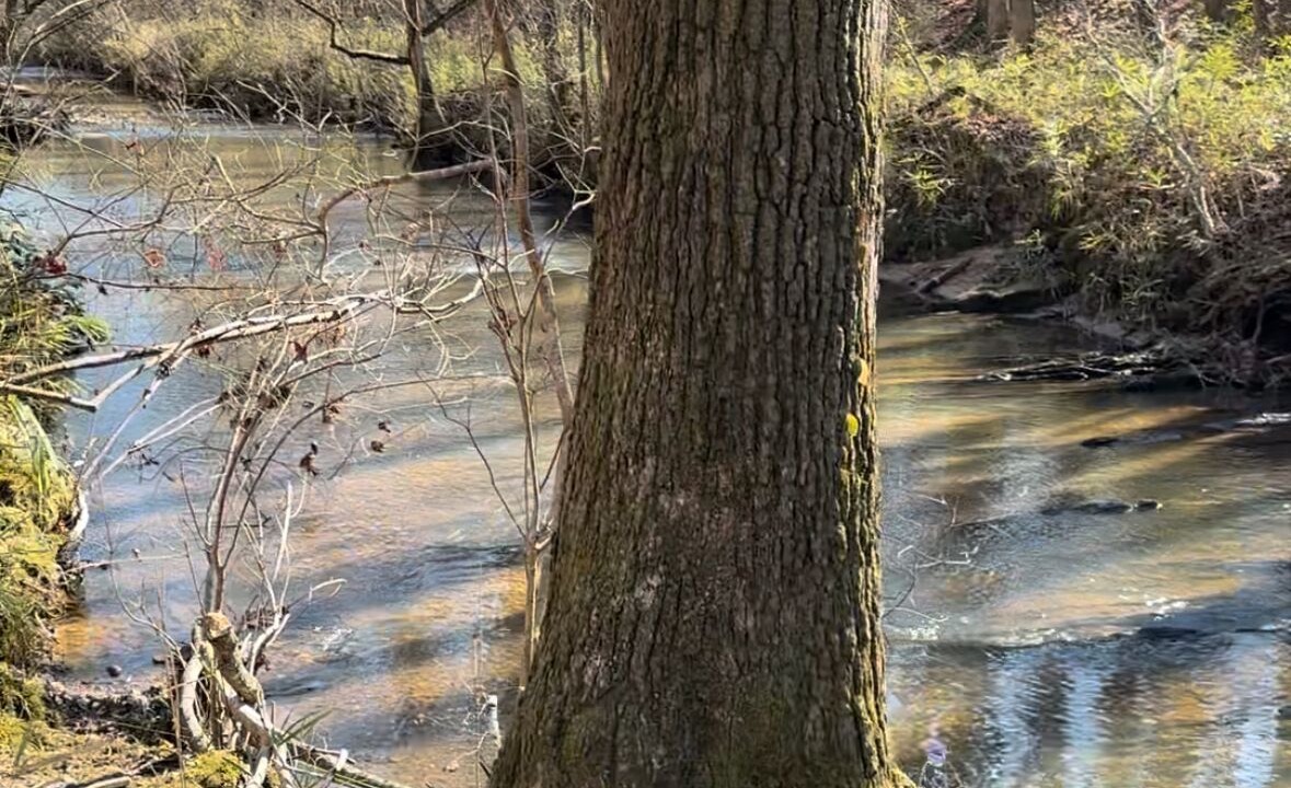 Photo of Others in Newell