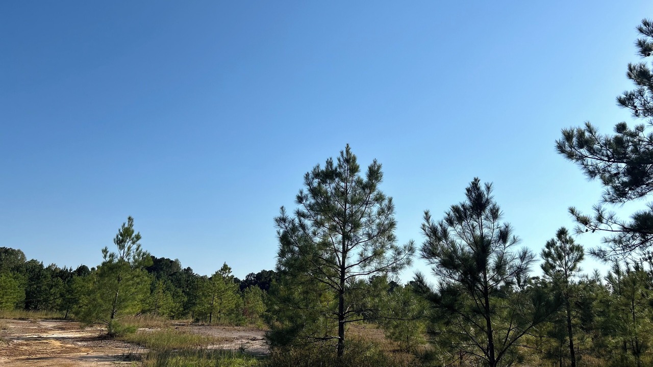 Photo of Others in Meridian