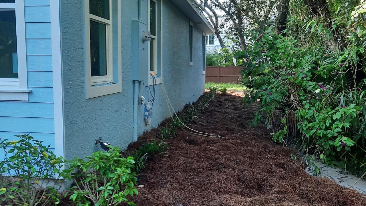 Photo of Outdoor in Palm Coast