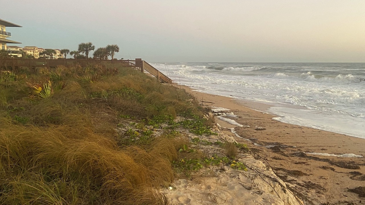 Photo of Others in Palm Coast