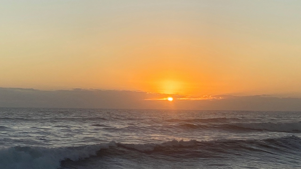 Photo of Others in Palm Coast