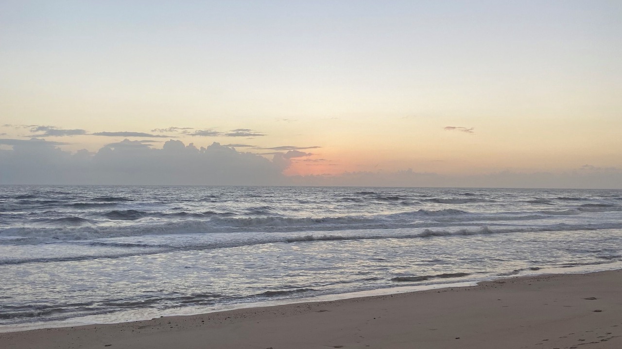 Photo of Others in Palm Coast