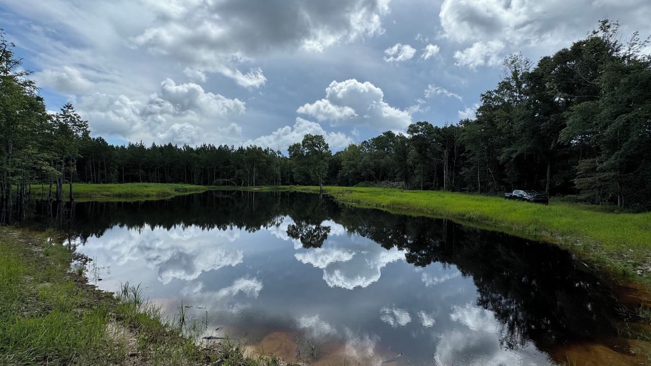 Photo of Others in Lucedale