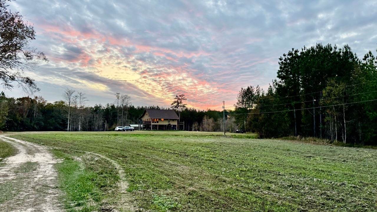 Photo of Others in Lucedale