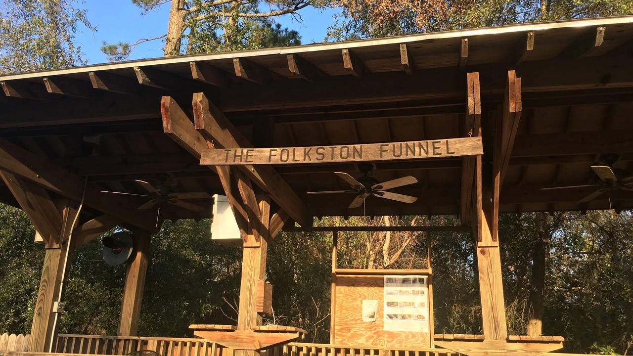 Photo of Outdoor in Folkston
